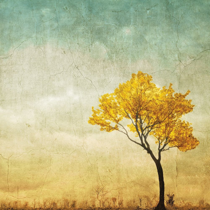 Picture of GOLDEN TREE IN THE MEADOW
