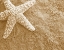 Picture of STARFISH IN THE SAND