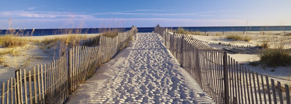Picture of SAND TRAIL