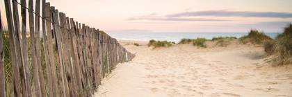 Picture of SAND FENCE, EARLY MORNING