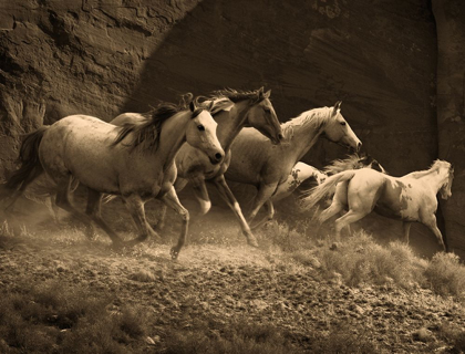 Picture of WILD HORSES II