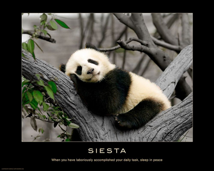 Picture of SIESTA