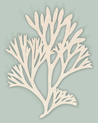 Picture of OCEAN ROCKWEED I.