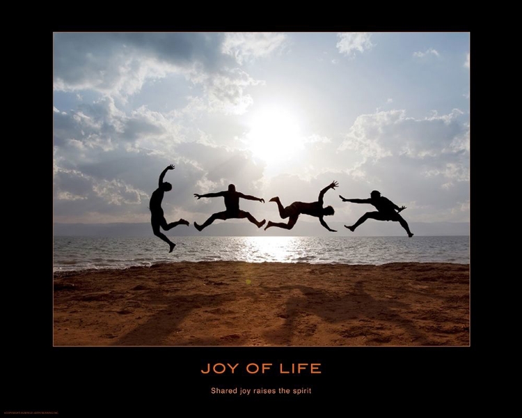 Picture of JOY OF LIFE