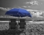 Picture of BLUE UMBRELLA