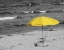 Picture of SUNNY UMBRELLA