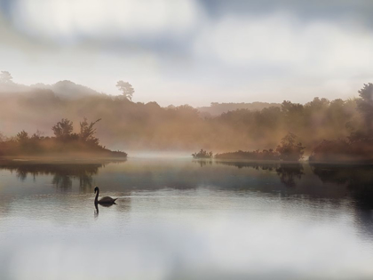 Picture of MORNING ON THE RIVER