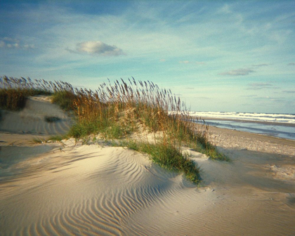 Picture of SAND DUNES