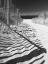 Picture of SHADOWED PATHWAY