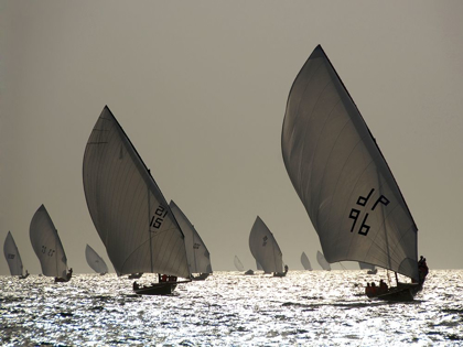 Picture of SAILBOAT SILHOUETTE