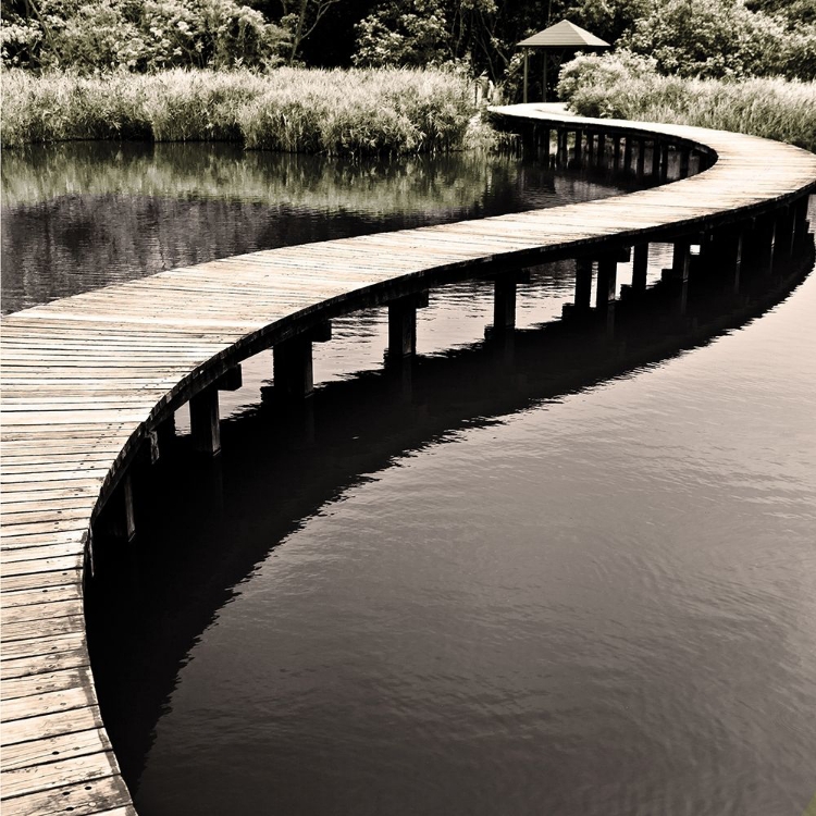 Picture of WATER WALKWAY
