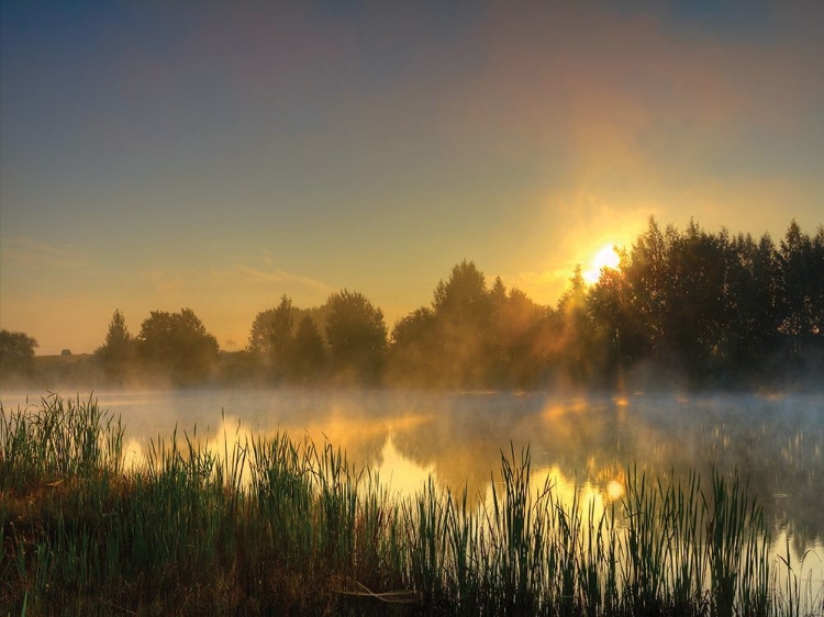 Picture of CANAL SUNRISE