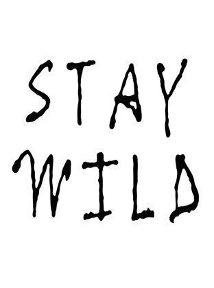 Picture of STAY WILD