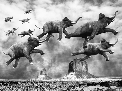 Picture of FLYING ELEPHANTS