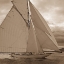 Picture of ALL SAILS UNFURLED