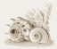 Picture of SEASHELLS I