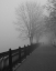 Picture of PROMENADE IN THE MIST