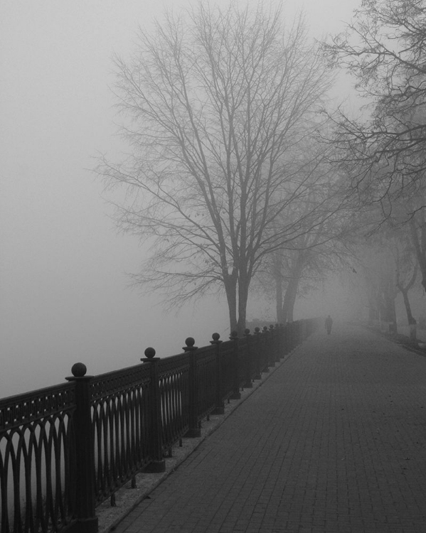 Picture of PROMENADE IN THE MIST