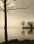 Picture of TRANQUIL COVE