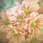 Picture of BEAUTIFUL BOUQUET