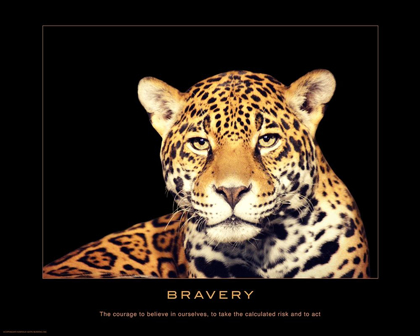 Picture of BRAVERY