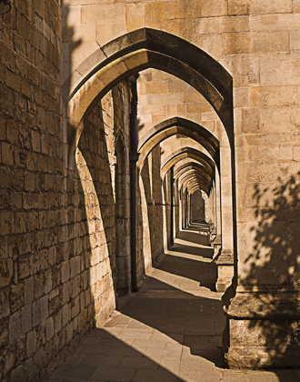 Picture of CLOISTER ARCHES