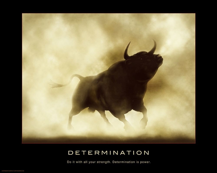 Picture of DETERMINATION