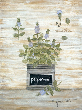 Picture of PEPPERMINT BOTANICAL