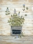 Picture of PEPPERMINT BOTANICAL
