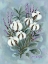 Picture of LAVENDER IN THE LIGHT I