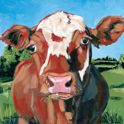 Picture of HENRY THE HEREFORD