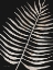 Picture of PALM FROND WOOD GRAIN I