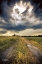 Picture of EMBRACE THE STORM I