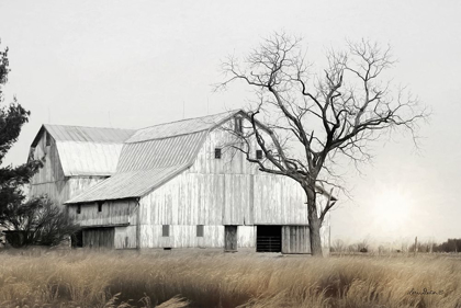 Picture of OHIO FIELDS I