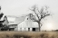 Picture of OHIO FIELDS I