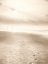 Picture of BLEACHED SUNRISE 