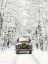 Picture of ANTIQUE CHRISTMAS