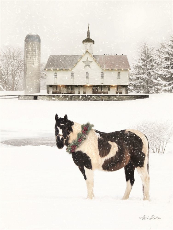 Picture of READY FOR CHRISTMAS HORSE 