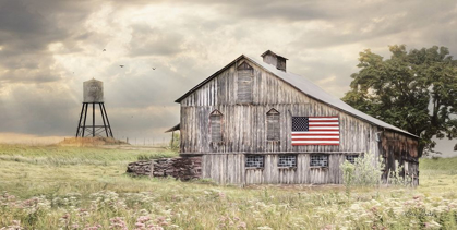 Picture of RURAL VIRGINIA BARN