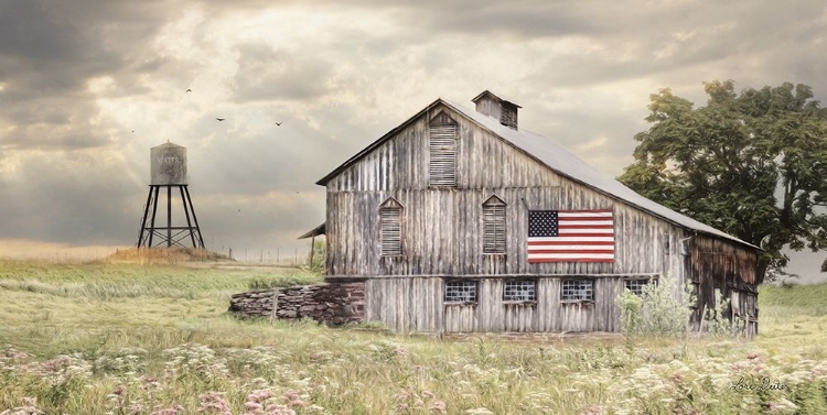 Picture of RURAL VIRGINIA BARN