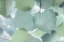 Picture of AQUA LEAVES