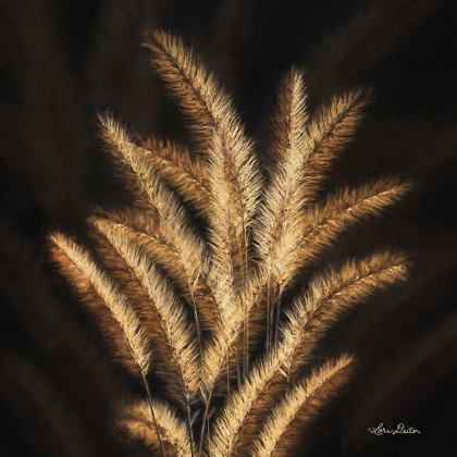 Picture of GOLDEN GRASS II