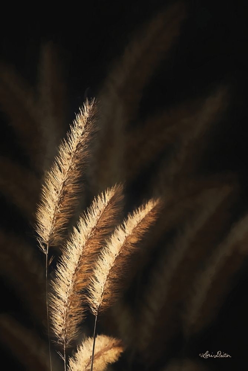 Picture of GOLDEN GRASS III