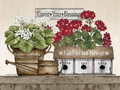 Picture of COUNT YOUR BLESSINGS GERANIUMS