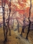 Picture of HIGH UP IN THE TREES