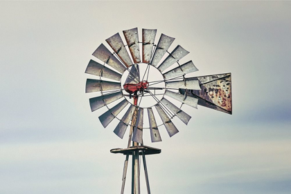 Picture of WINDMILL CLOSE-UP