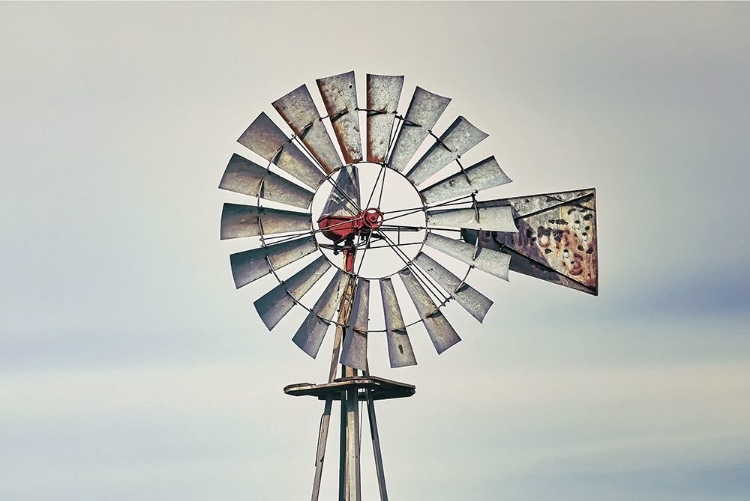 Picture of WINDMILL CLOSE-UP