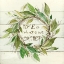 Picture of WE GATHER BAYLEAF