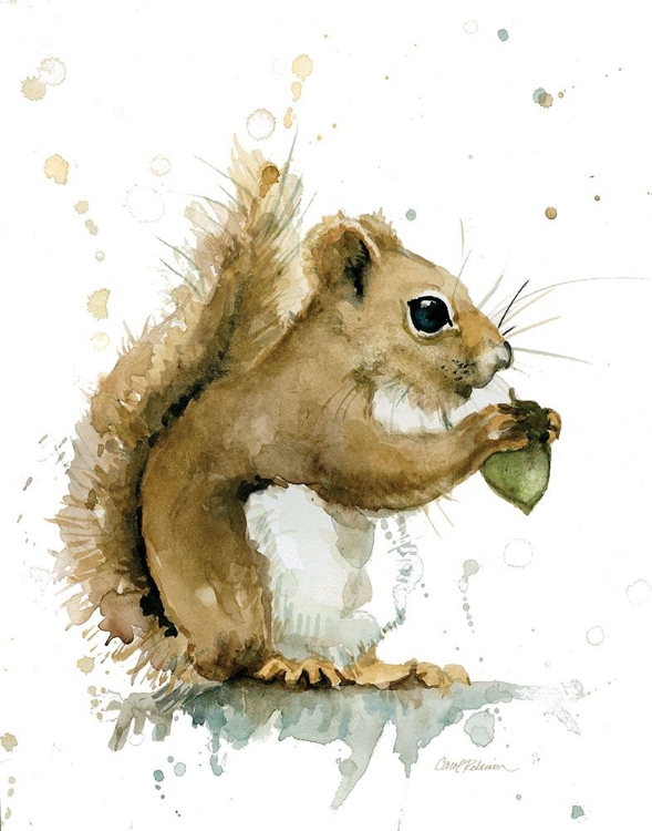 Picture of HARVEST SQUIRREL