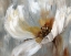 Picture of EMBOLDENED POPPY